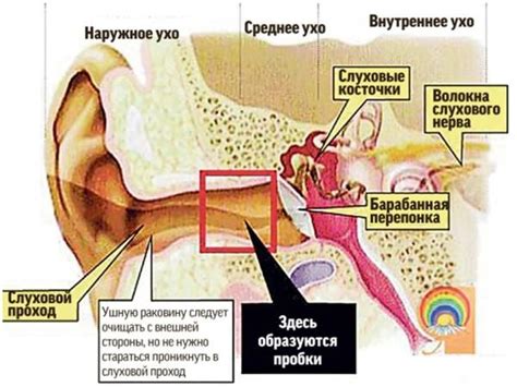 Ушные пробки: как определить их наличие