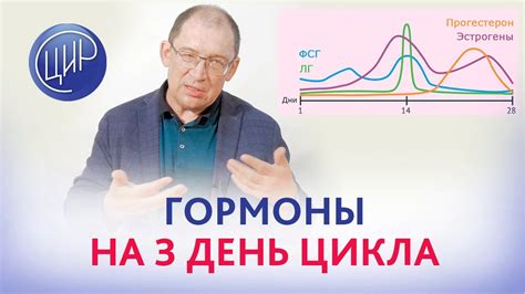 ФСГ эстрадиол: почему важно соблюдать день цикла?