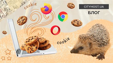 Файлы cookie: зачем они нужны?