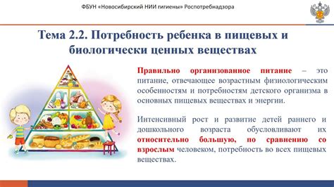 Факторы, влияющие на потребность ребенка в смеси