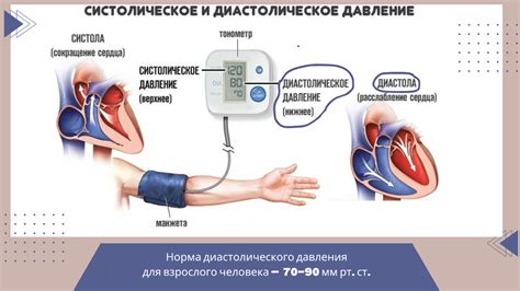 Факторы, которые могут повышать артериальное давление при приёме Эутирокса