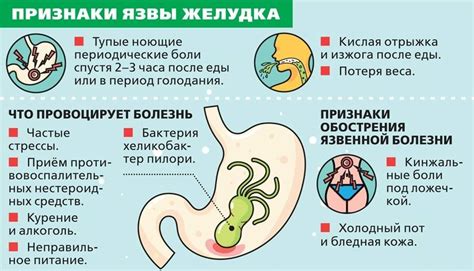 Факторы, способствующие румянец в желудке при нервозности