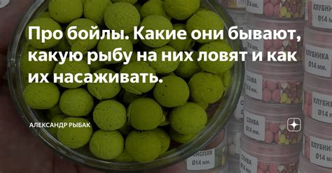 Факты, которые говорят про бойлы