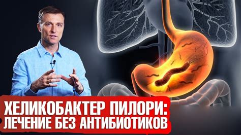 Факты о хеликобактер пилори