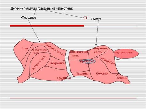 Факт №1: Важность правильной обработки мяса перед фаршированием