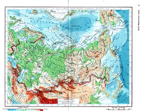 Физическая непосредственность