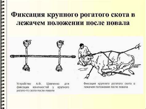 Фиксация и укрепление