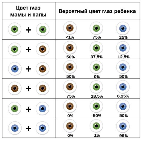 Формирование цвета глаз