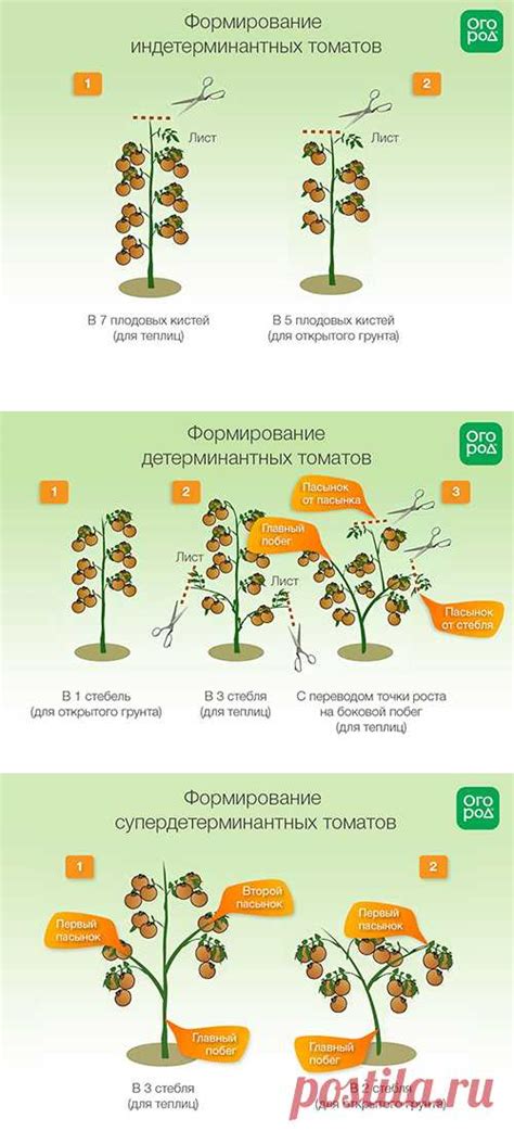 Формирование эллипсов: инструкции и схемы