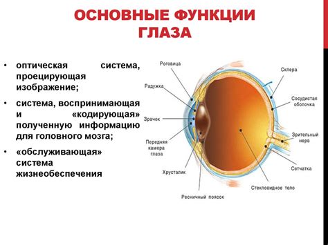 Функции глаза императора