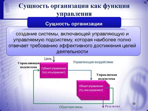 Функции и роль