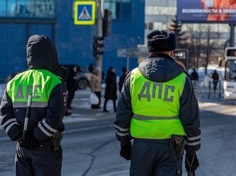 Хоронить домашнюю собаку