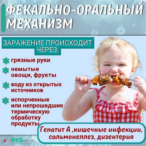 Частота передачи венерологических инфекций через поцелуй