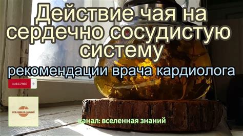 Черный чай и его положительное действие на сердечно-сосудистую систему