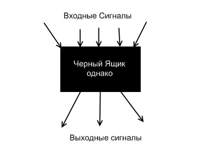 Черный ящик: принципы работы и обработка информации