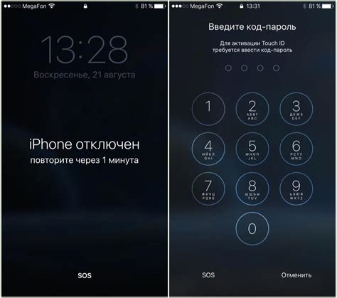 Что делать, если все способы восстановления пароля на iPhone от Гид доступа не работают