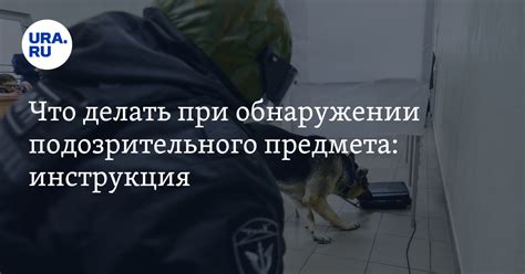 Что делать при обнаружении липомы