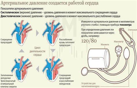 Что значит давление 130 на 100?