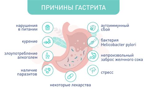 Что может произойти, если первый раз постриглись без удаления шерсти?