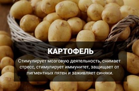 Что нужно для правильного срезания ботвы у картофеля?