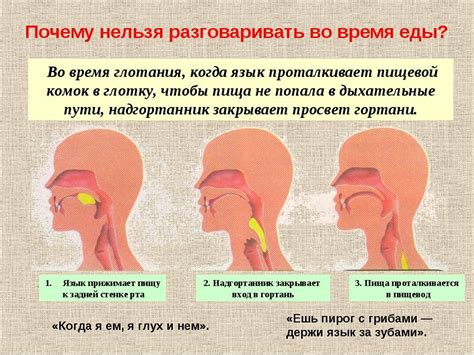 Что происходит с воском при глотании?