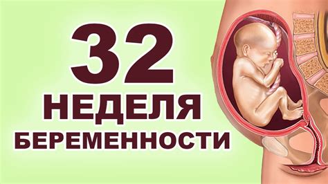 Что происходит с ребенком на 16 неделе беременности?