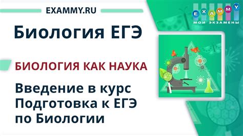 Что такое ЕГЭ по биологии?