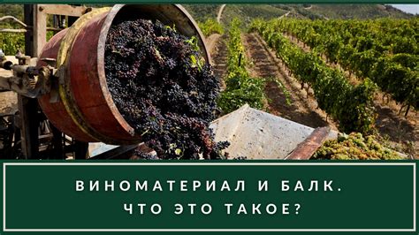 Что такое бродящее вино и как оно получается?