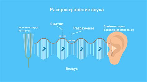 Что такое звуковая волна