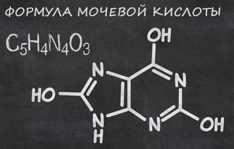 Что такое мочевая кислота?