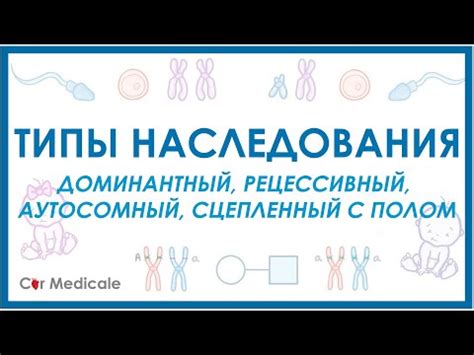 Что такое наследование сестрой и какие у него особенности?