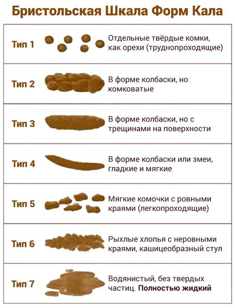 Что такое понос у собаки?