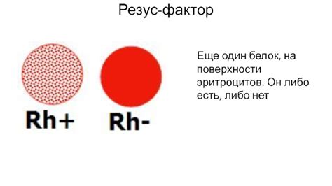 Что такое резус 0 золотая кровь и существует ли она?