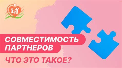 Что такое совместимость партнеров?