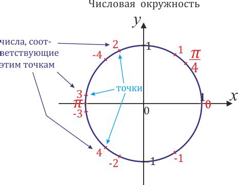 Что такое точка на окружности?