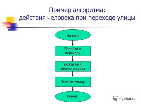 Шаги выполнения алгоритма Мидас в Турбо