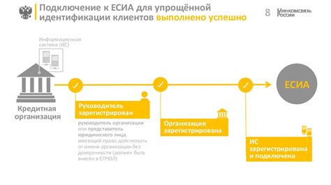 Шаги для идентификации фамилии совы