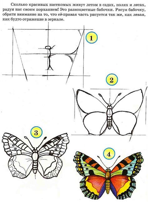 Шаги рисования бабочки сбоку