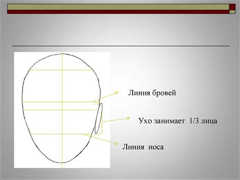 Шаг 1: Определение пропорций головы