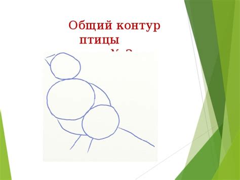 Шаг 2: Общий контур рисунка