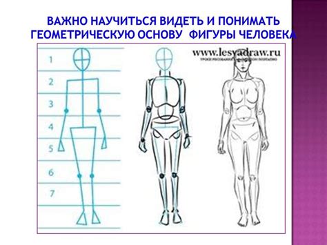 Шаг 2: Определение пропорций и позы человека