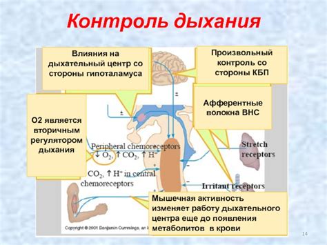 Шаг 3: Контроль дыхательного ритма