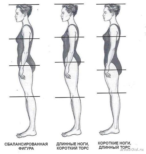 Шаг 3: Работа с пропорциями и формами