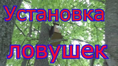 Шаг 4: Установка ловушек