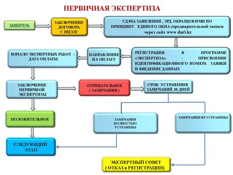 Шаг 5: Проведение экспертизы