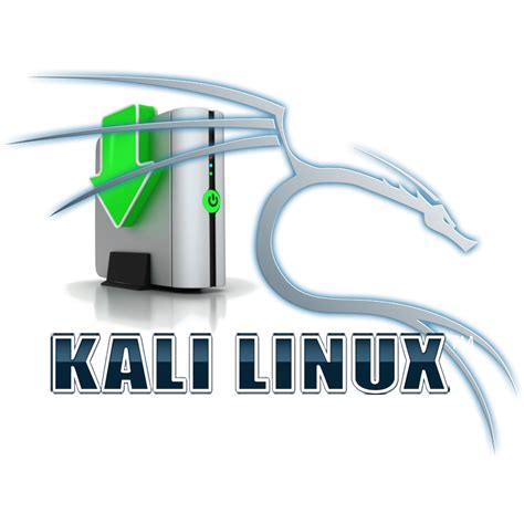 Шаг 7: Установка образа Kali Linux