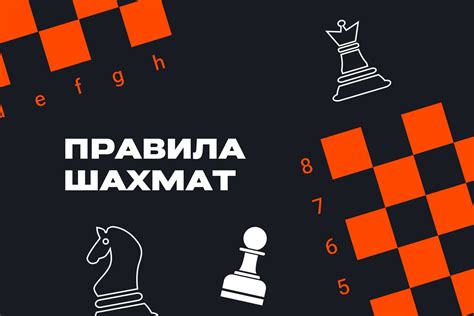 Шахматы: основные правила игры и ходы фигур