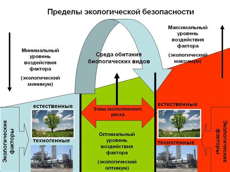 Экологическая сторона вопроса: вред или нет?