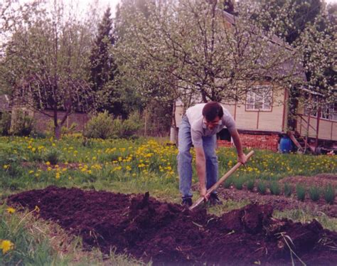 Экологические аспекты работы на огороде