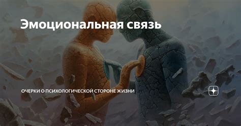 Эмоциональная связь и внимание